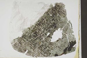 Plane Polarized, S46311