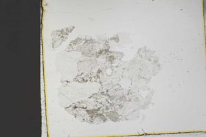 Plane Polarized, S46318