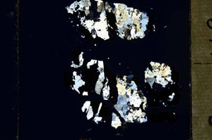 Cross Polarized, S46323