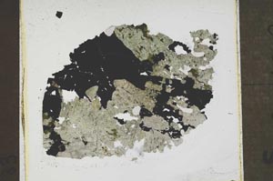 Plane Polarized, S46330