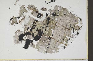 Plane Polarized, S46333