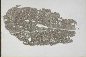 Plane Polarized, S46334