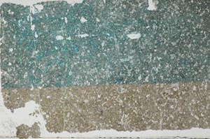Plane Polarized, S46361/A