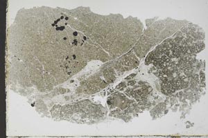 Plane Polarized, S46366