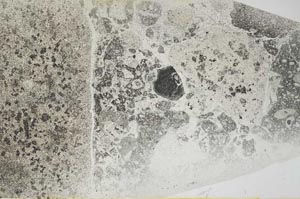 Plane Polarized, S46367
