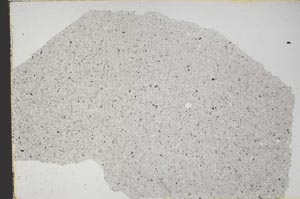 Plane Polarized, S46370