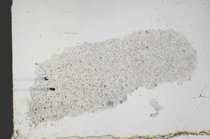 Plane Polarized, S46381