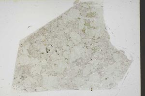 Plane Polarized, S46387
