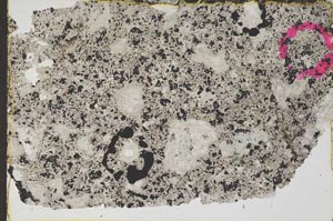 Plane Polarized, S46391