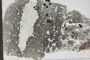 Plane Polarized, S46394