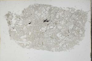 Plane Polarized, S46404