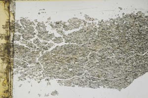 Plane Polarized, S46433