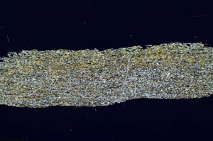 Cross Polarized, S46436