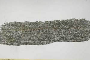 Plane Polarized, S46436