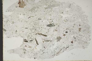 Plane Polarized, S46441