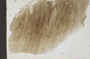 Plane Polarized, S46447