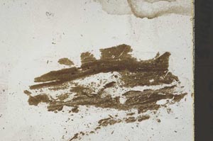 Plane Polarized, S46451