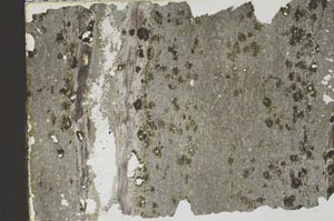 Plane Polarized, S46460