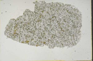 Plane Polarized, S46463