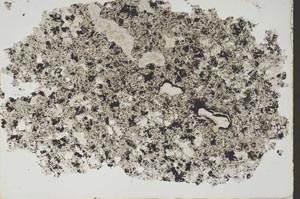 Plane Polarized, S46464