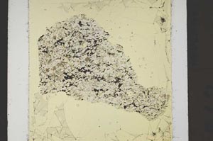 Plane Polarized, S46474