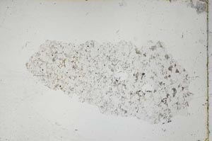 Plane Polarized, S46479