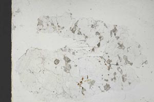 Plane Polarized, S46480