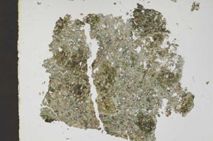 Plane Polarized, S46492