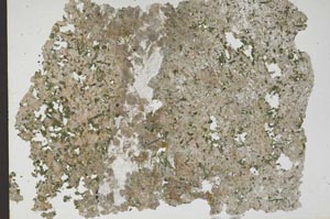 Plane Polarized, S46497