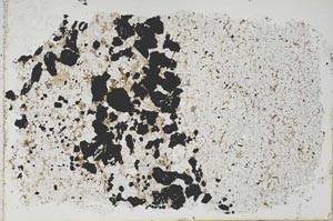 Plane Polarized, S46511