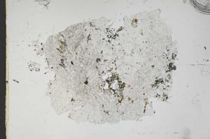 Plane Polarized, S46518