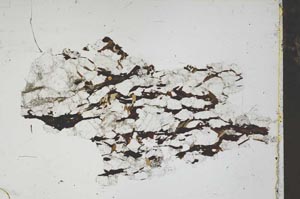Plane Polarized, S46520