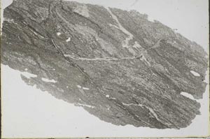 Plane Polarized, S46523