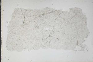 Plane Polarized, S46525