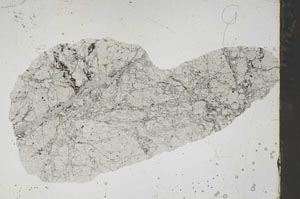 Plane Polarized, S46526