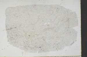Plane Polarized, S46527