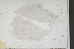 Plane Polarized, S46528