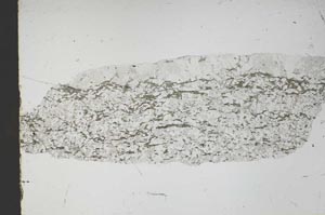 Plane Polarized, S46530