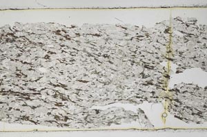 Plane Polarized, S46531