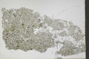 Plane Polarized, S46535