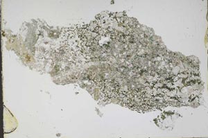 Plane Polarized, S46537