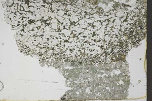 Plane Polarized, S46537/A