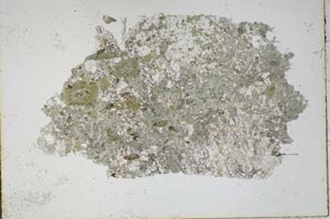 Plane Polarized, S46538
