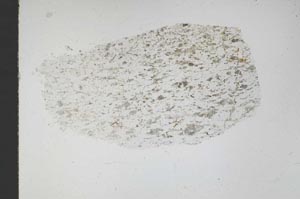 Plane Polarized, S46550