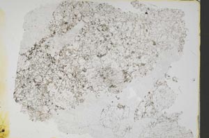 Plane Polarized, S46572