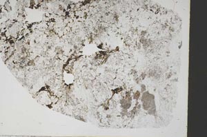 Plane Polarized, S46576