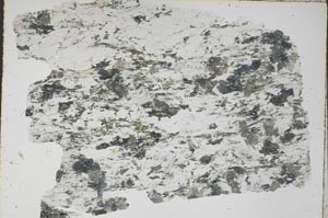 Plane Polarized, S46580