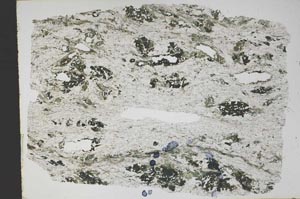 Plane Polarized, S46587