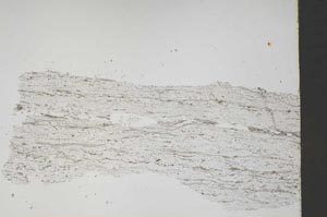 Plane Polarized, S46597