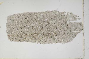 Plane Polarized, S46631